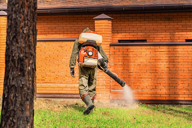 Bed Bug Clearance Verification and Documentation in Lebanon South
